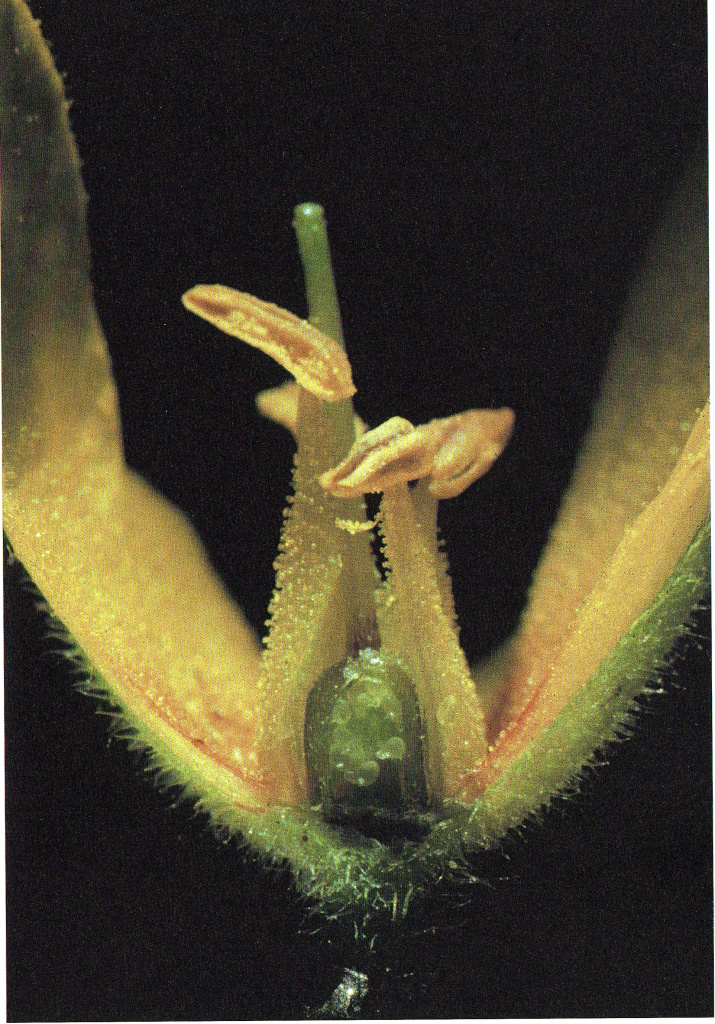 Scan20230912151702_001.jpg