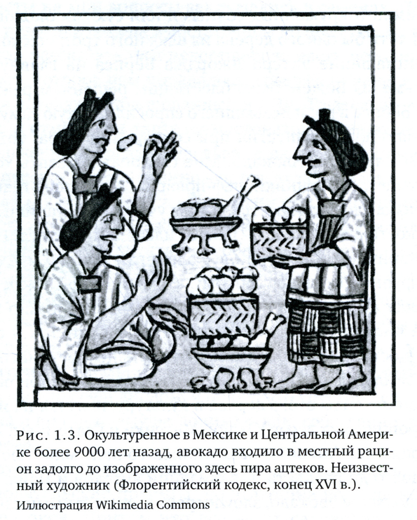 1 сканы из книги.jpg 1 сканы из книги.jpg