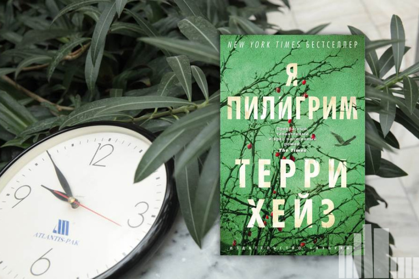 Терри Хейз "Я пилигрим" Терри Хейз "Я пилигрим"